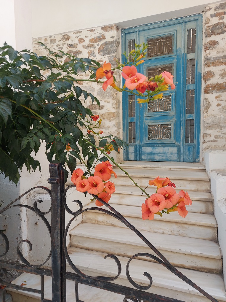 Naxos - Vivlos - 2023